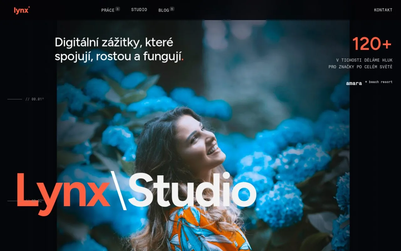 Náhled webu Lynx Studio