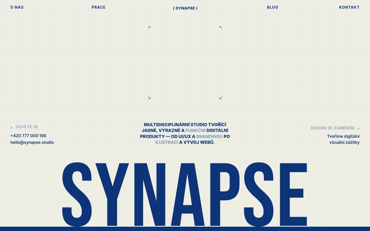 Náhled webu Synapse